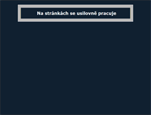 Tablet Screenshot of dana.lasakovi.com